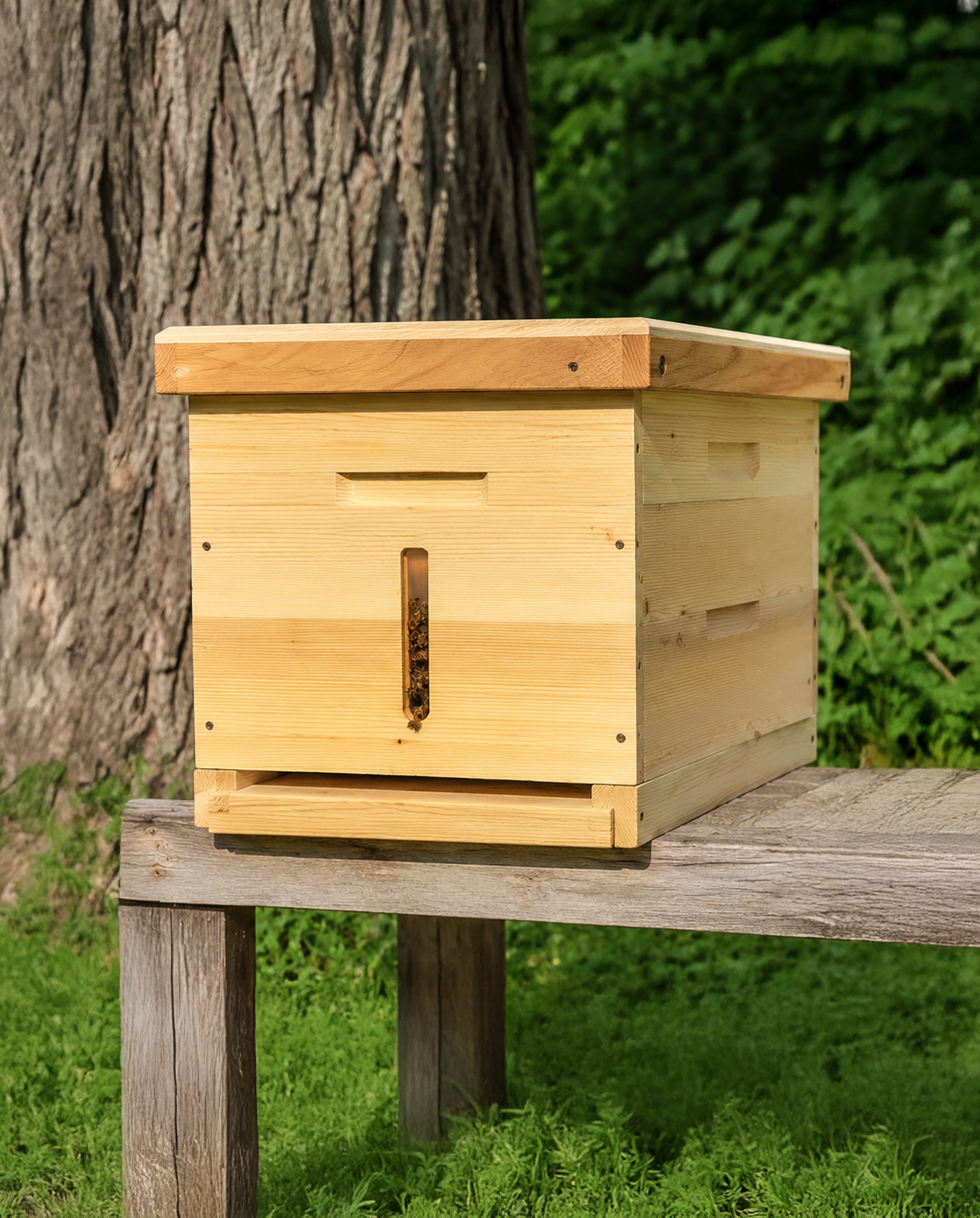 A wooden beehive with bees at the entrance, sitting on a weathered bench beside a large tree